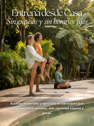 Suscripción Anual Mentoría | The Apnea Lab