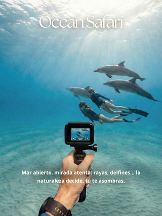 FREEDIVING RETREAT - San Andrés, Colombia