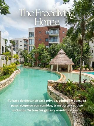 FREEDIVING RETREAT | 12-17 de Agosto 2026