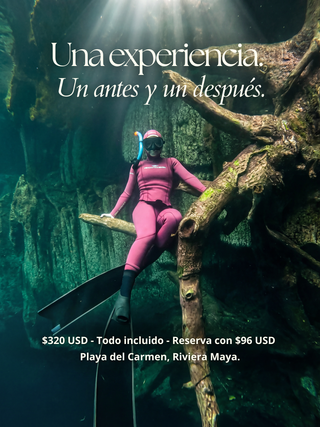 Discovery Freediving Day | 1 día