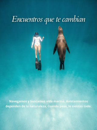 OCEAN SAFARI RETREAT | 03 - 08 de Julio 2026